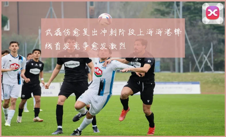 武磊伤愈复出冲刺阶段上海海港锋线首发竞争愈发激烈