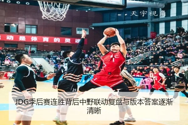 JDG季后赛连胜背后中野联动复盘与版本答案逐渐清晰