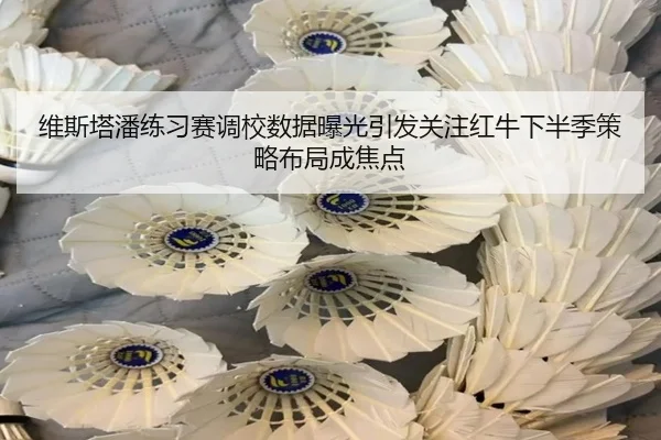 维斯塔潘练习赛调校数据曝光引发关注红牛下半季策略布局成焦点